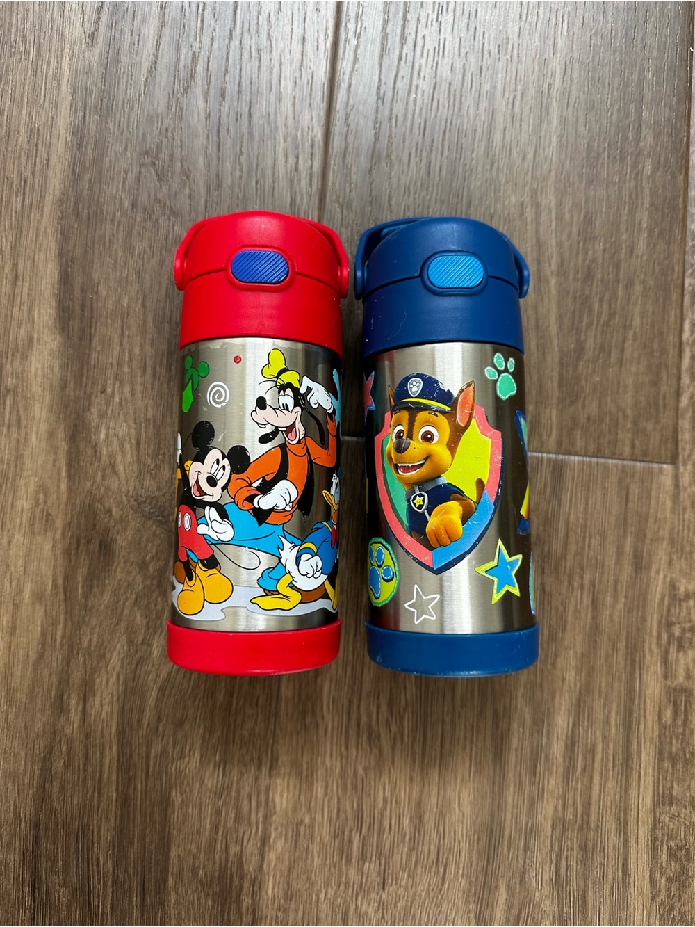 LOT - 2 Thermos Funtainer Disney / Paw Patrol Kids Stainless Steel Water Bottles